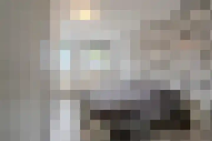 Saliebrink 2 Beilen thumbnail 33