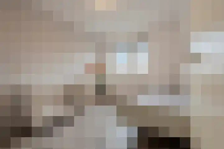 Saliebrink 2 Beilen thumbnail 39
