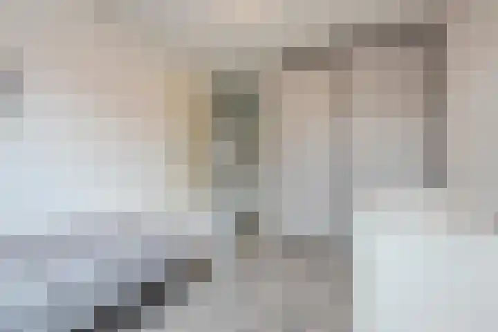 Saliebrink 2 Beilen thumbnail 41