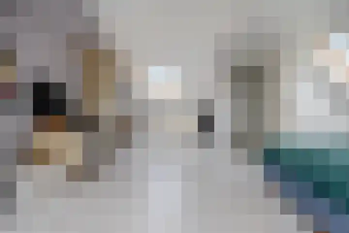 Saliebrink 2 Beilen thumbnail 49