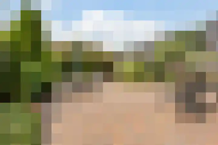 Saliebrink 2 Beilen thumbnail 51