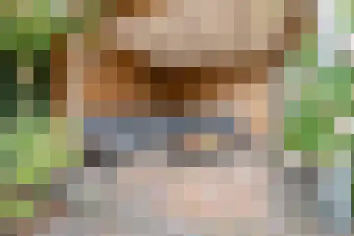 Saliebrink 2 Beilen thumbnail 53