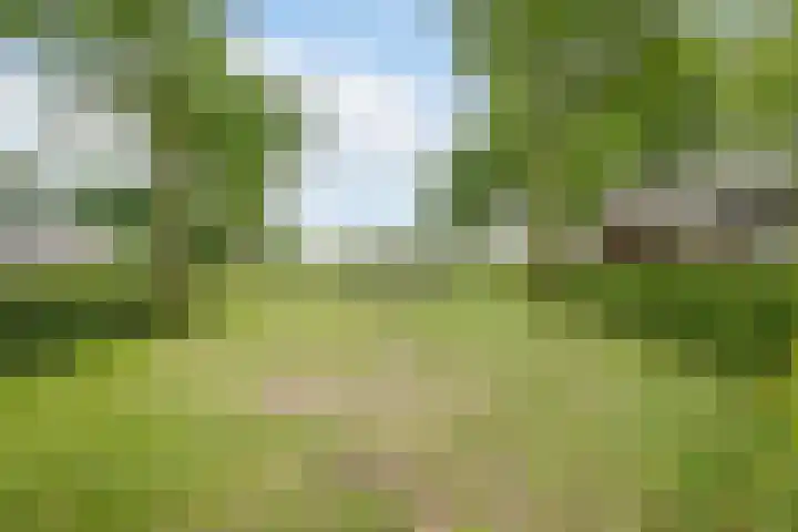 Saliebrink 2 Beilen thumbnail 57