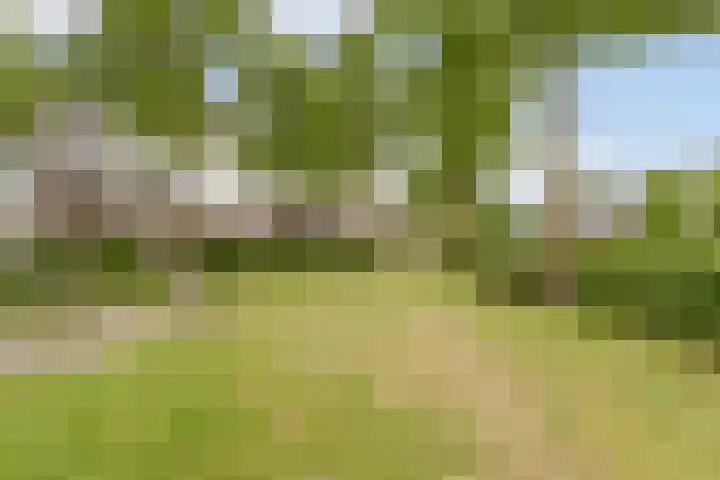 Saliebrink 2 Beilen thumbnail 58