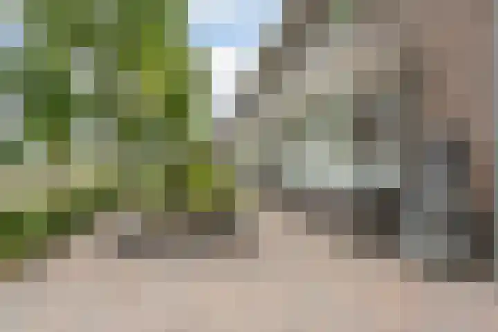 Saliebrink 2 Beilen thumbnail 9