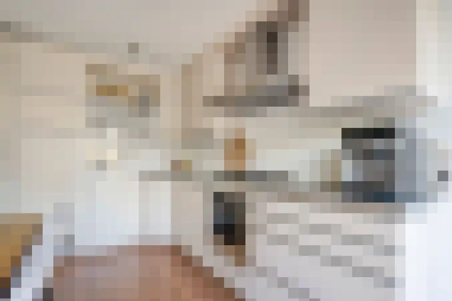 Saliebrink 4 Beilen thumbnail 17
