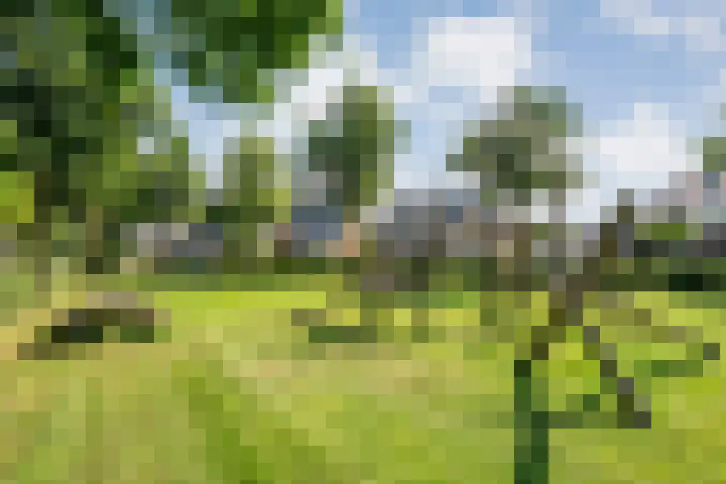 Saliebrink 4 Beilen thumbnail 45