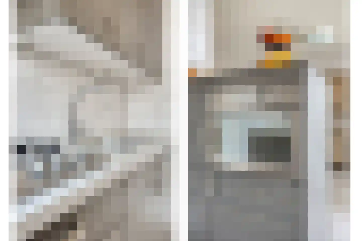 Saliehof 13 Tilburg thumbnail 10