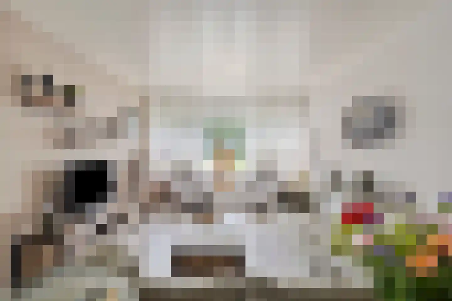Saliehof 13 Tilburg thumbnail 11