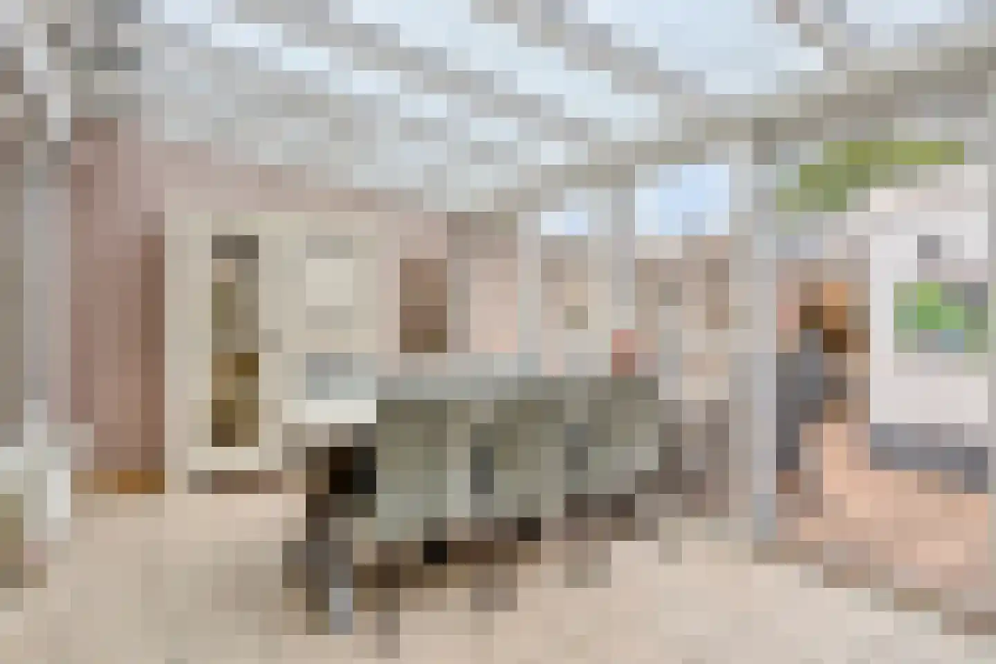 Saliehof 13 Tilburg thumbnail 13