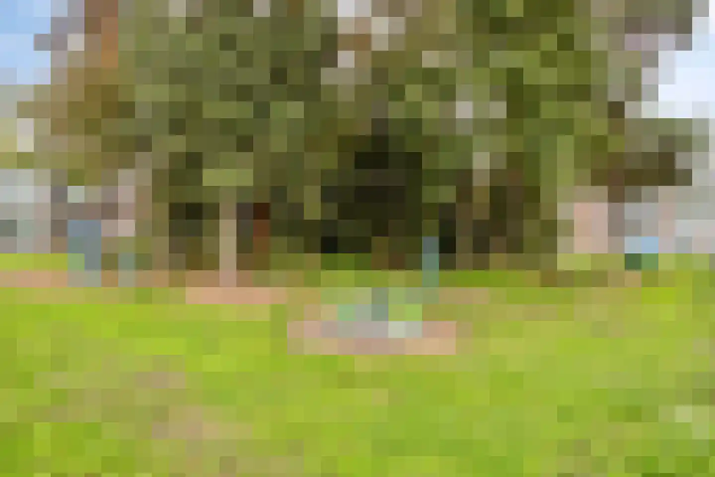 Saliehof 13 Tilburg thumbnail 32