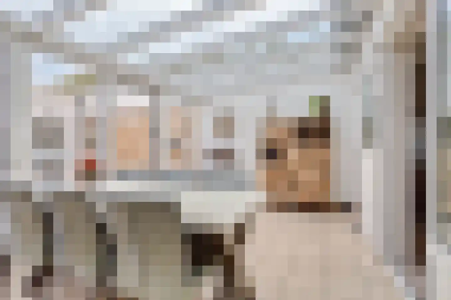 Saliehof 13 Tilburg thumbnail 6