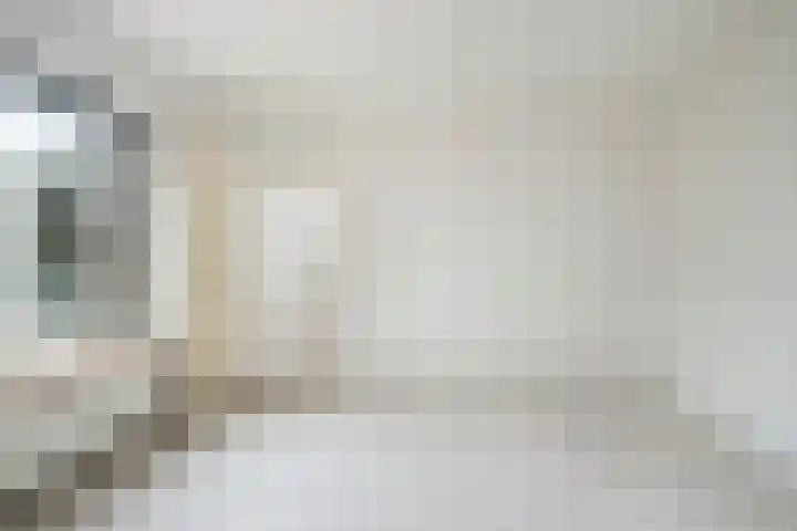 Saliehof 2 Utrecht thumbnail 16
