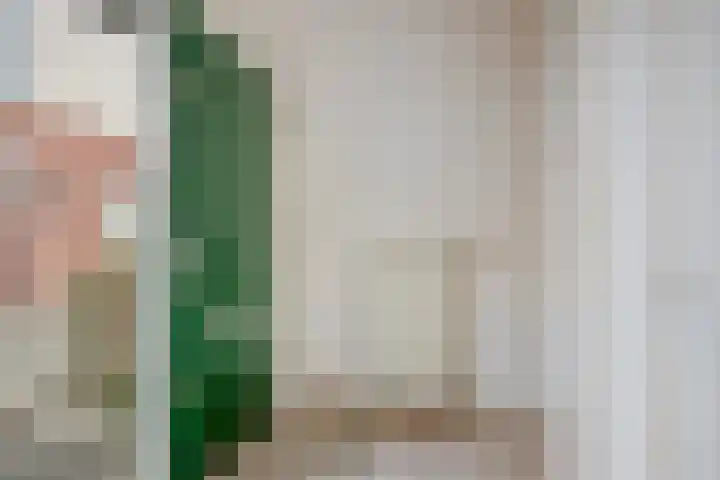 Saliehof 2 Utrecht foto 2