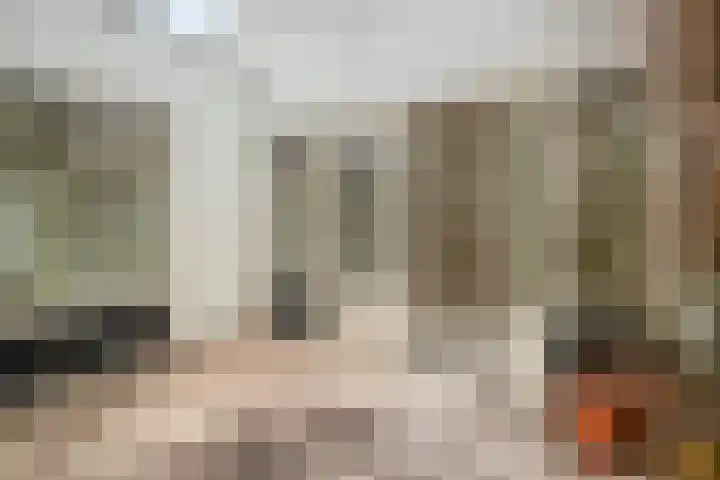 Saliehof 2 Utrecht thumbnail 22