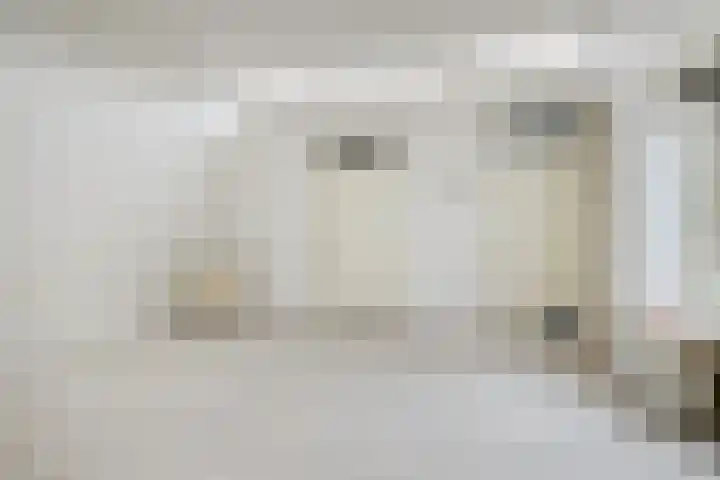 Saliehof 2 Utrecht thumbnail 5