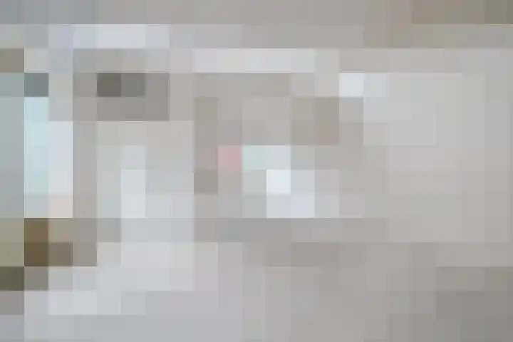 Saliehof 2 Utrecht thumbnail 9