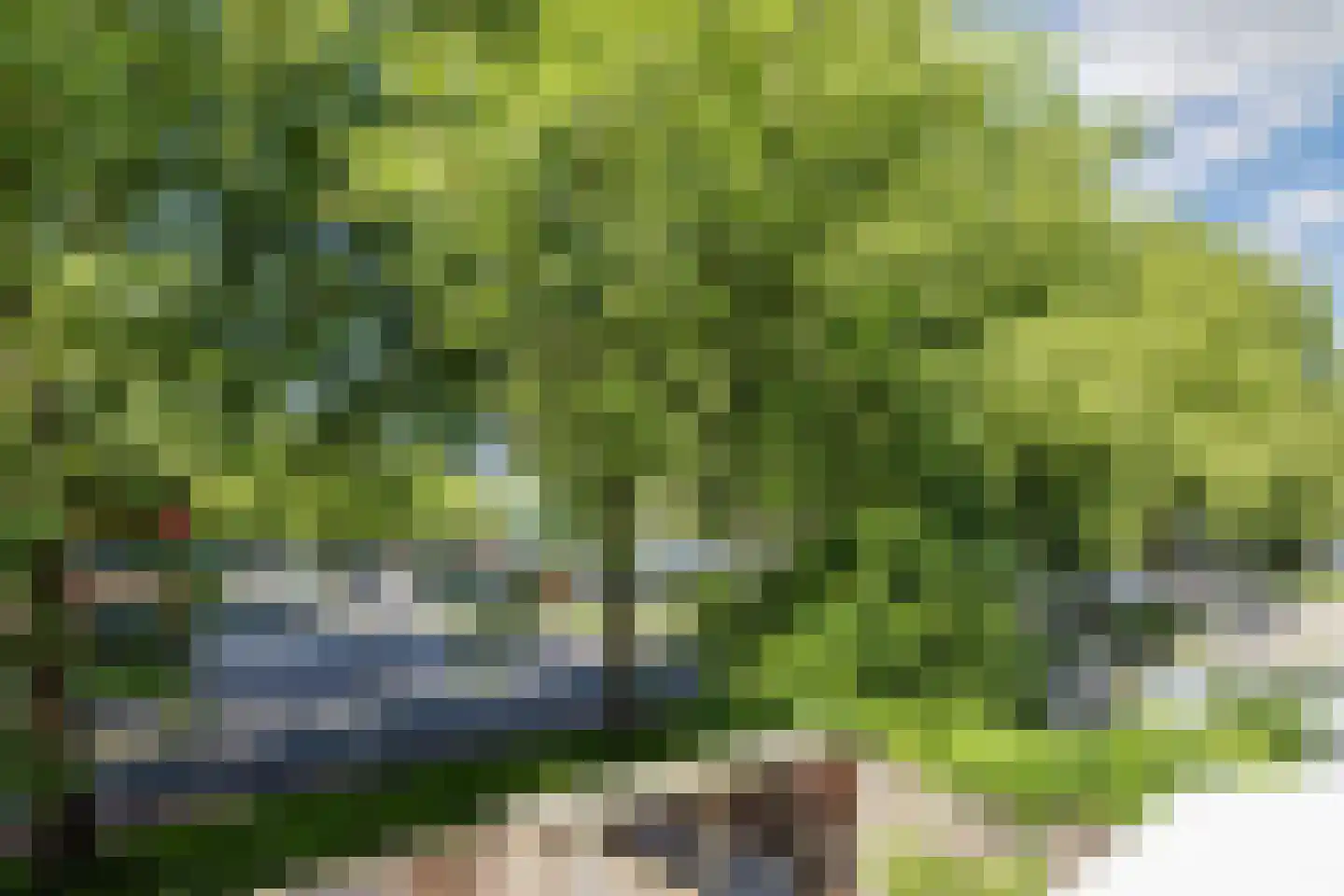 Saliehof 28 Tilburg thumbnail 15