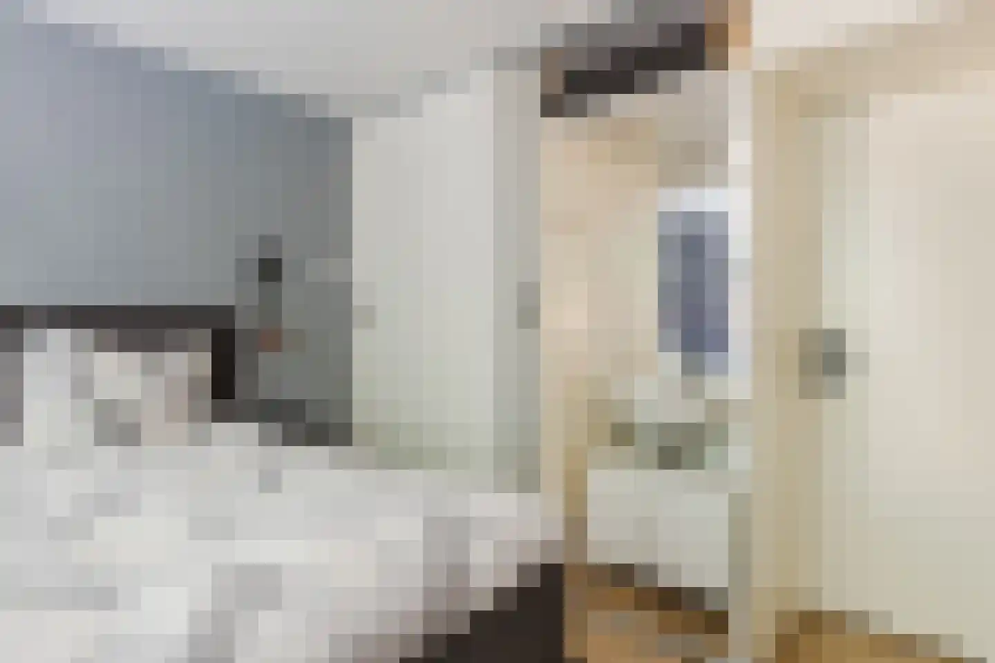 Saliehof 28 Tilburg thumbnail 18