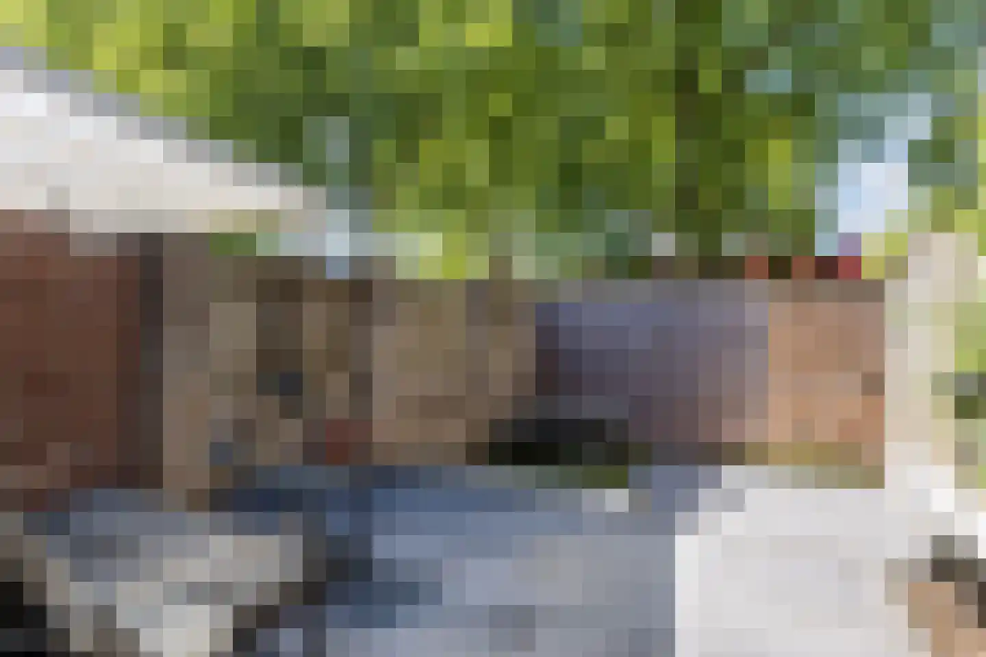 Saliehof 28 Tilburg thumbnail 30
