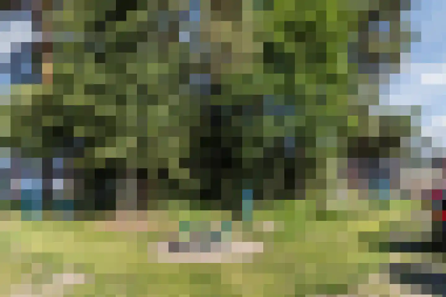 Saliehof 28 Tilburg thumbnail 42