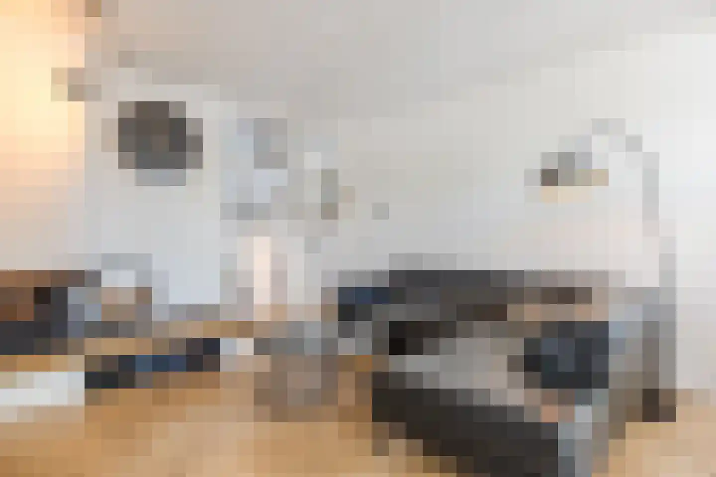 Saliehof 28 Tilburg thumbnail 7