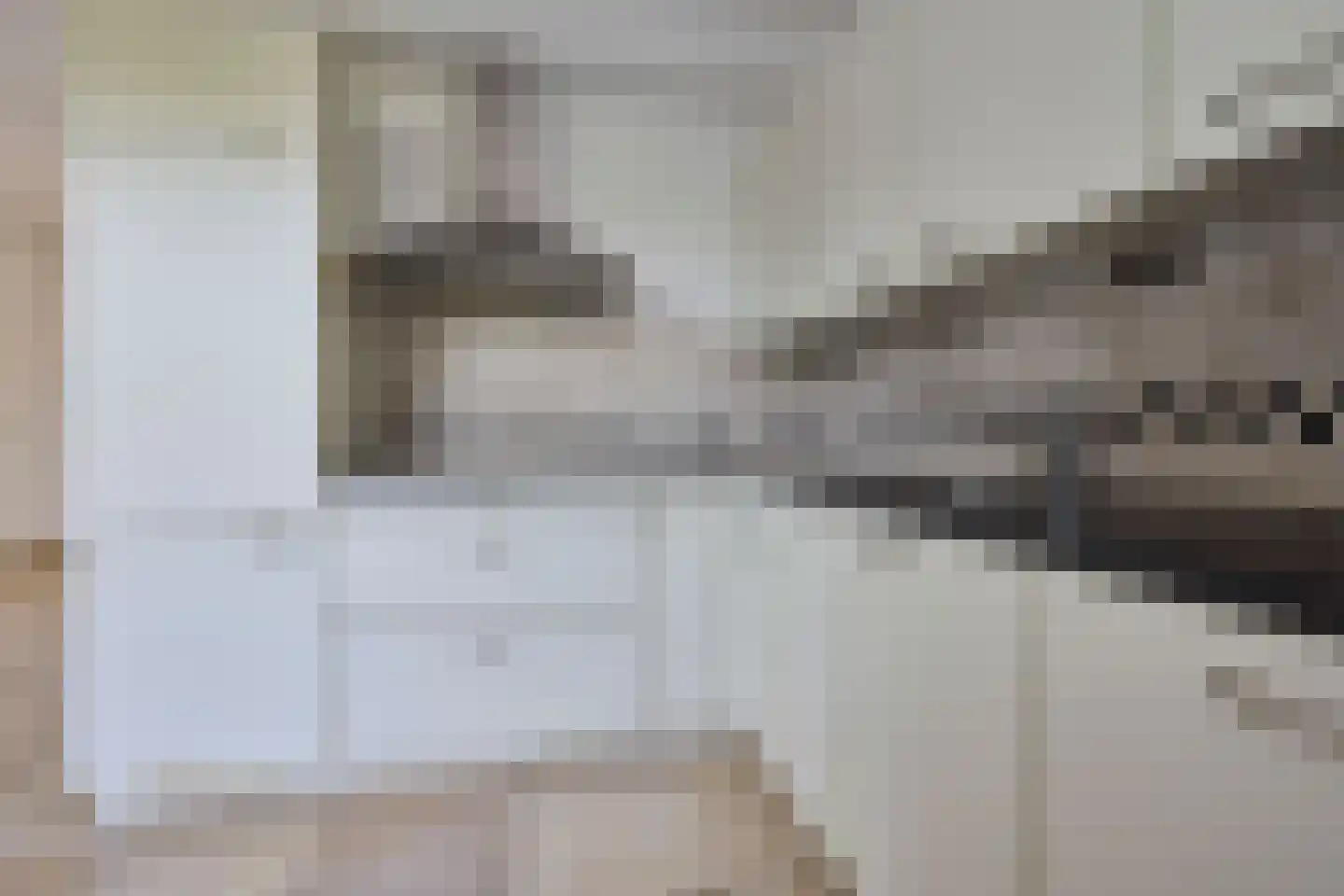 Saliënbos 2 Katwijk thumbnail 21
