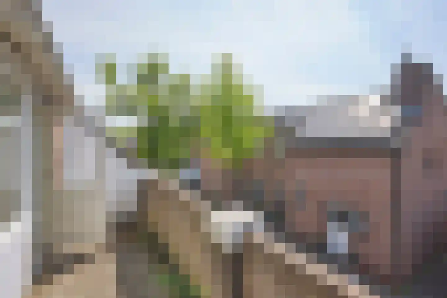 Saliënbos 2 Katwijk thumbnail 30