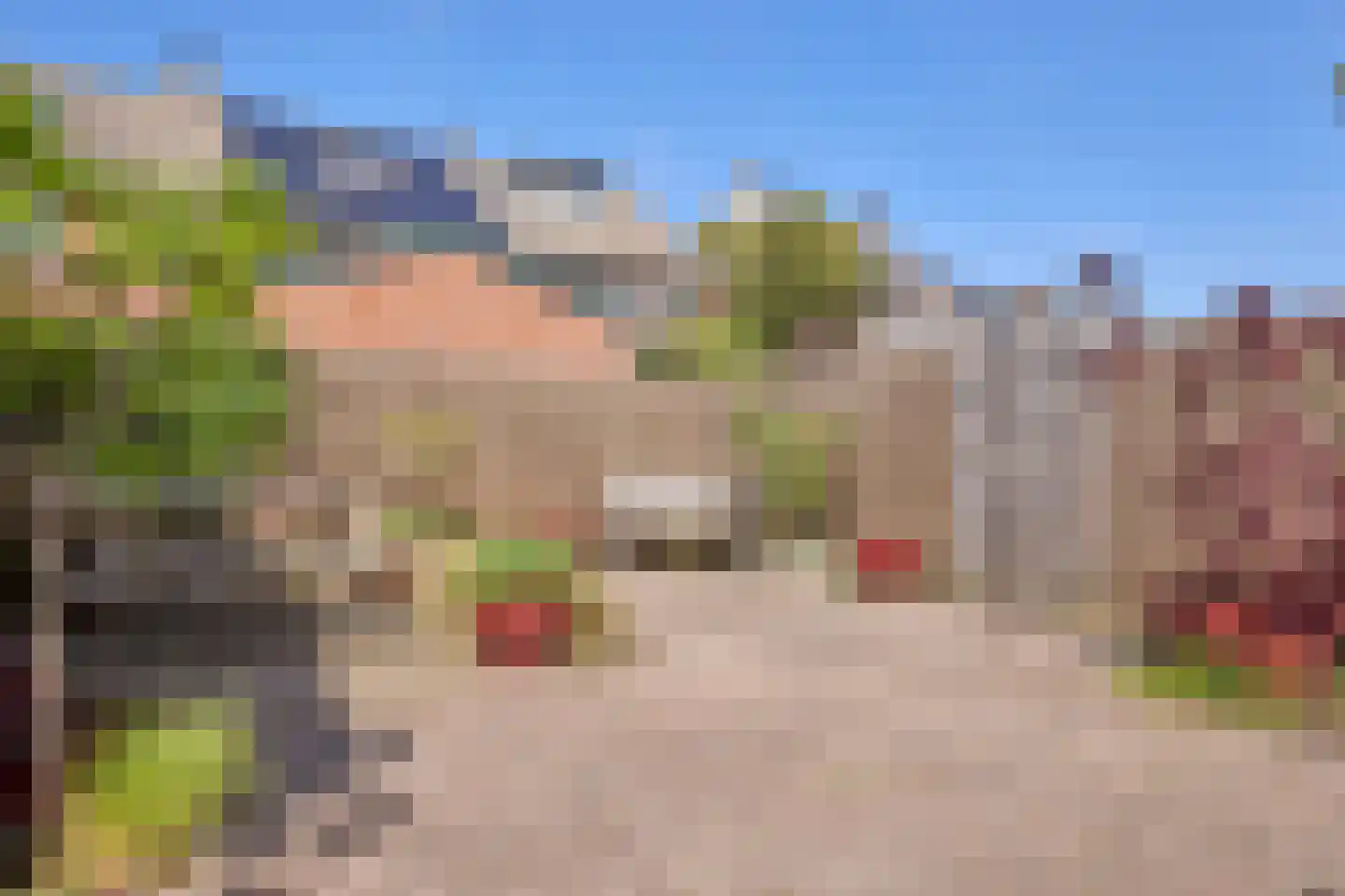 Saliënbos 2 Katwijk thumbnail 4