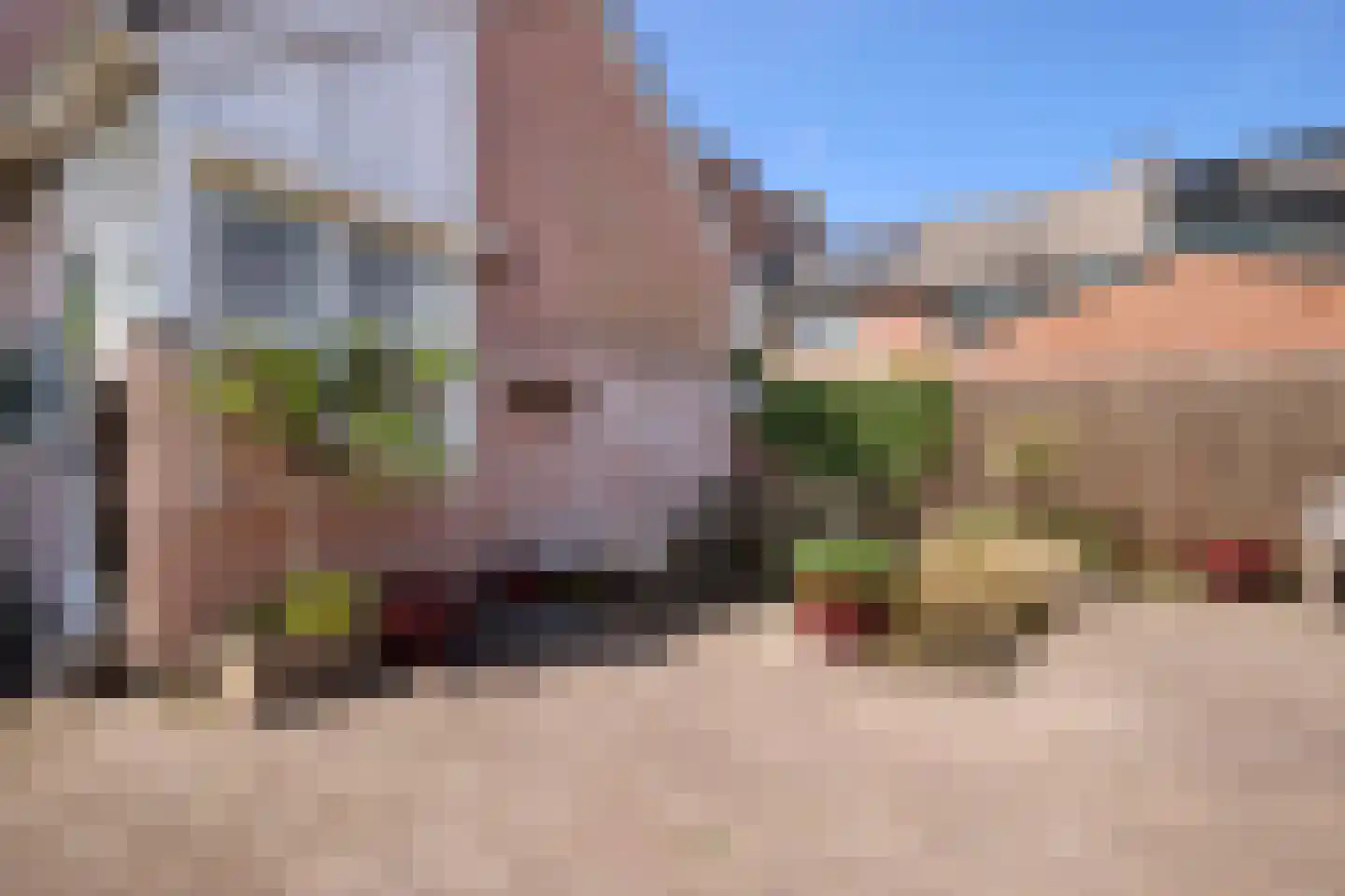 Saliënbos 2 Katwijk thumbnail 48