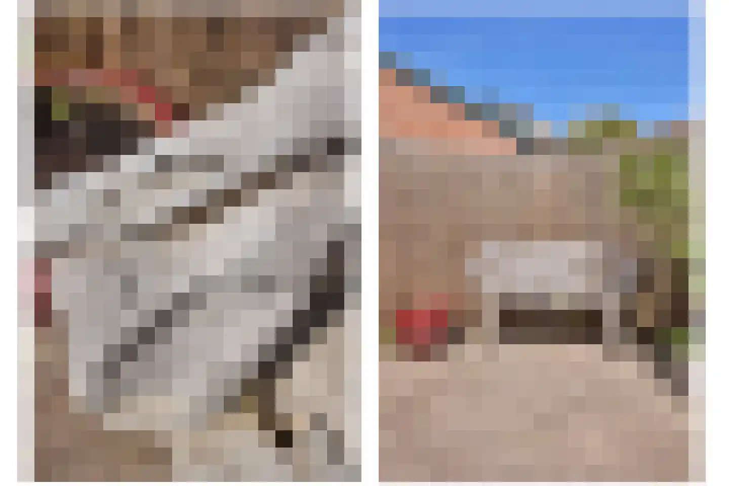 Saliënbos 2 Katwijk thumbnail 49