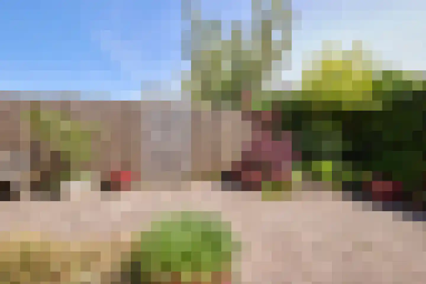Saliënbos 2 Katwijk thumbnail 51