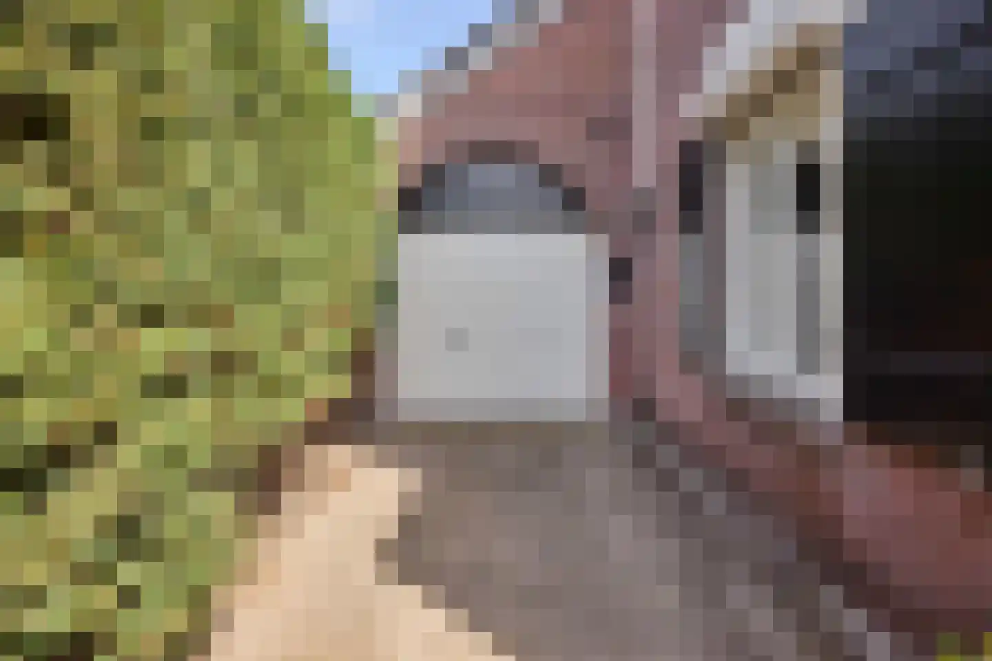 Saliënbos 2 Katwijk thumbnail 53