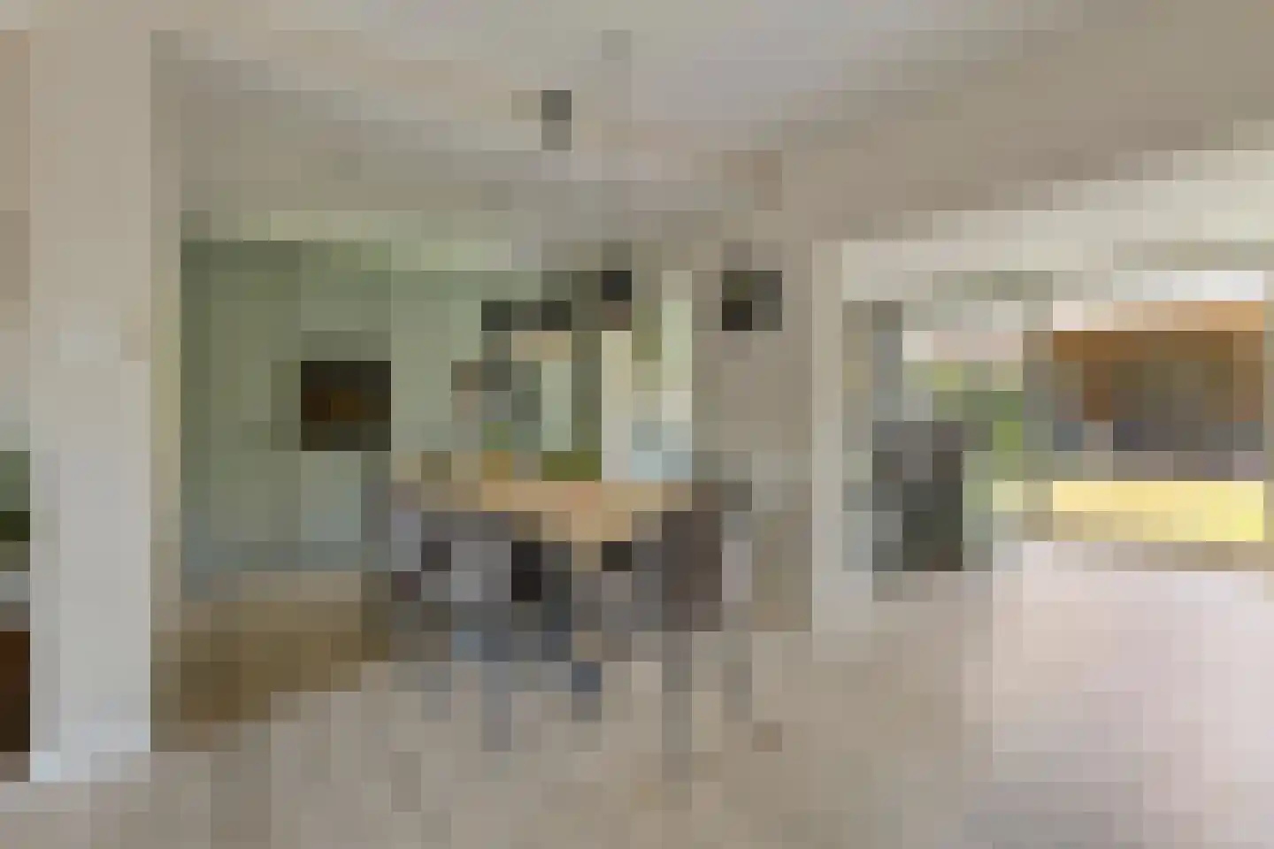 Saliërshof 3 Weert thumbnail 14