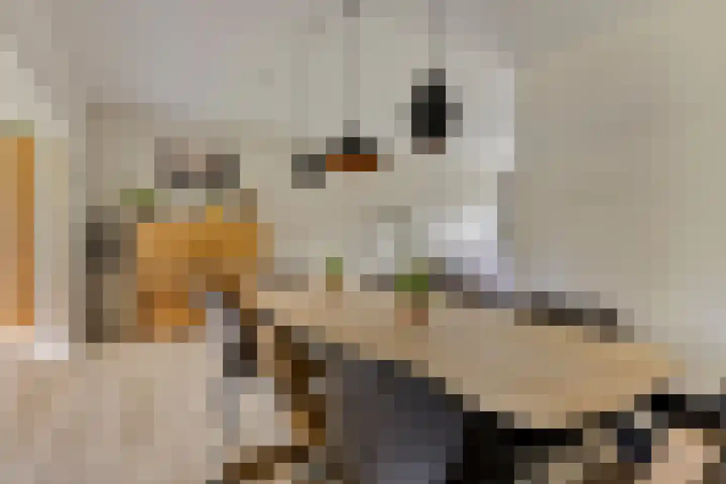 Saliërshof 3 Weert thumbnail 15