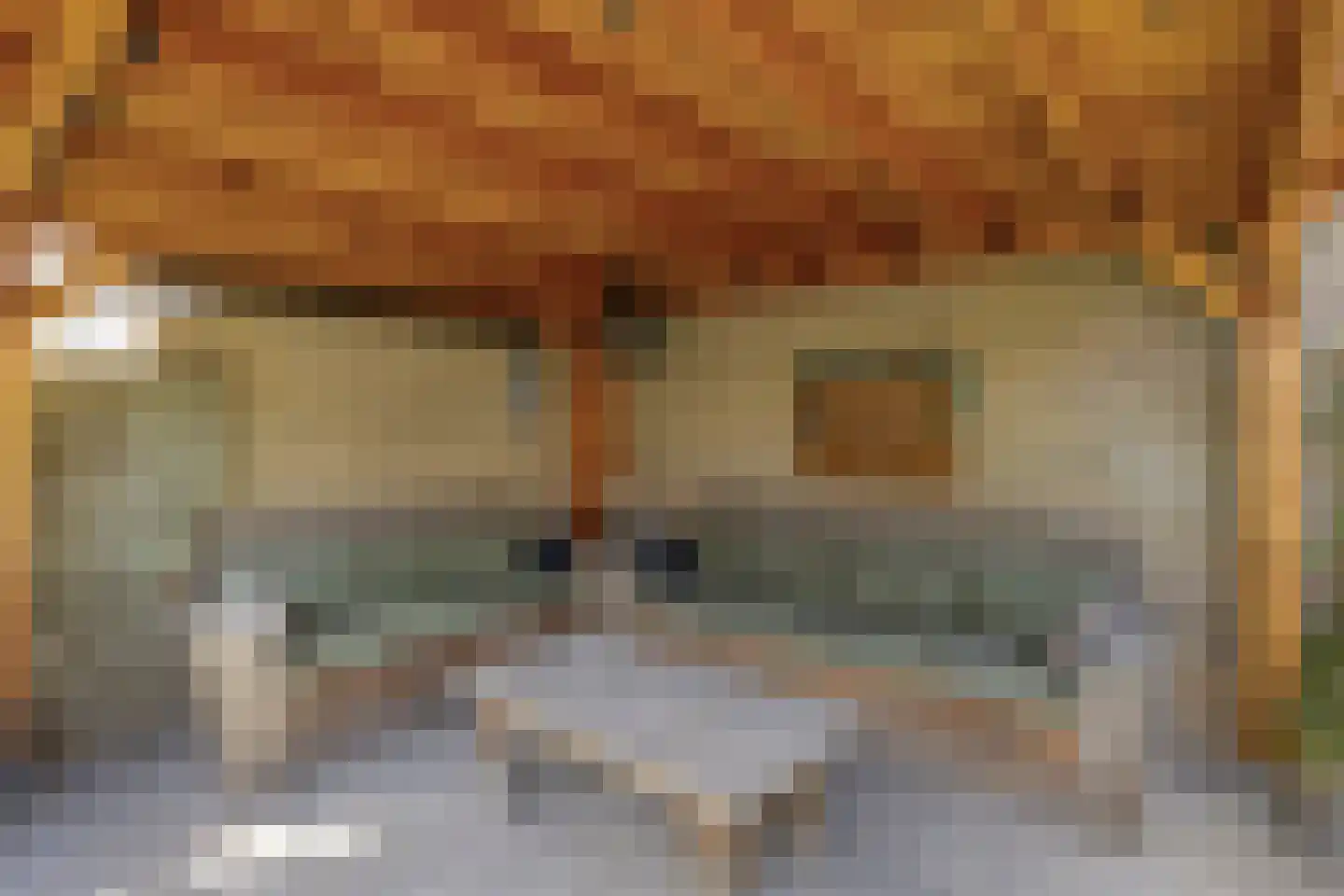 Saliërshof 3 Weert thumbnail 36