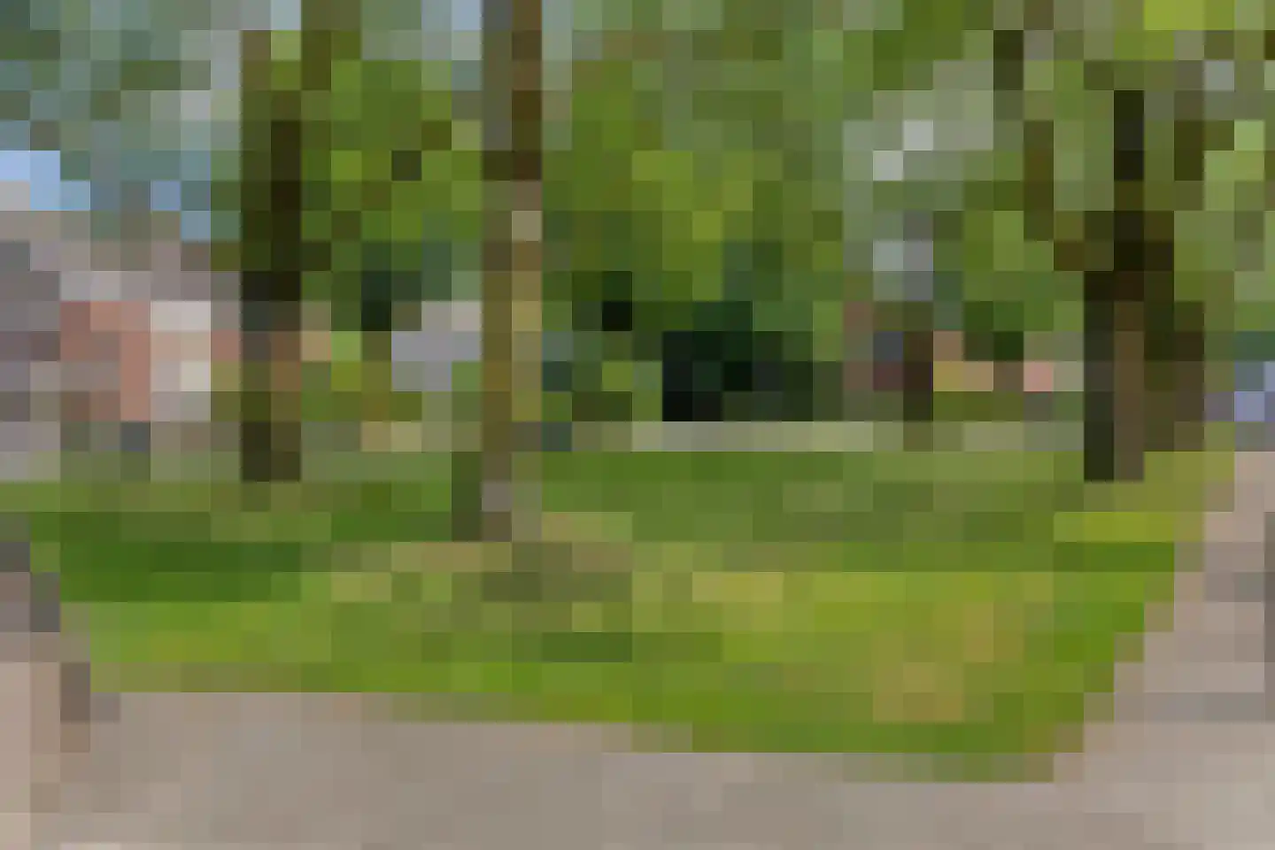 Saliërshof 3 Weert thumbnail 43