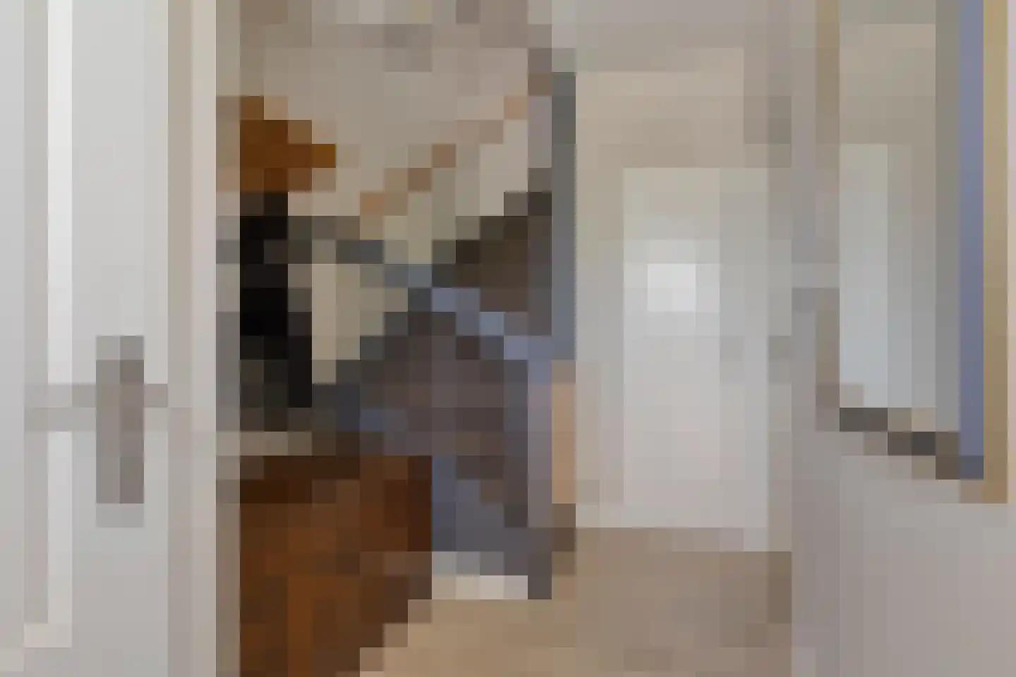 Saliërshof 3 Weert thumbnail 8