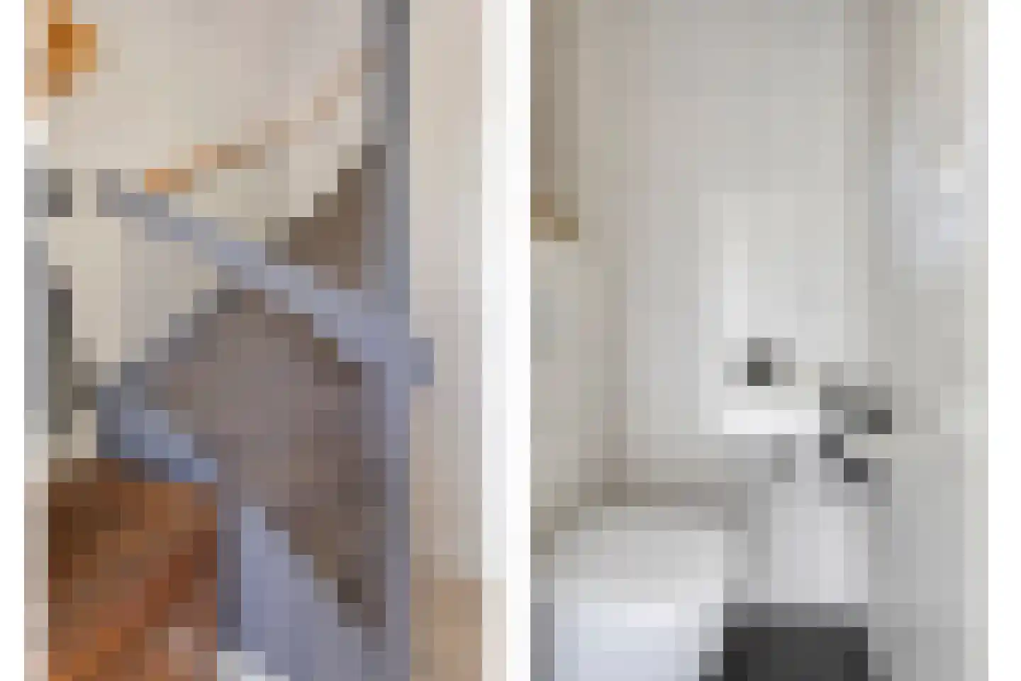 Saliërshof 3 Weert thumbnail 9