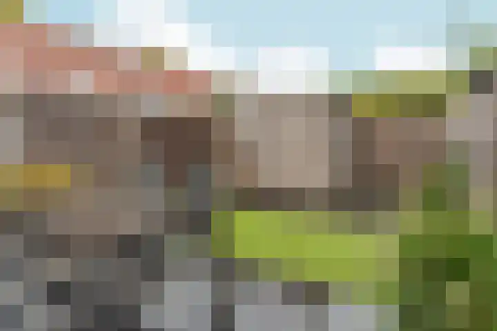 Saliestraat 1 Almere thumbnail 29