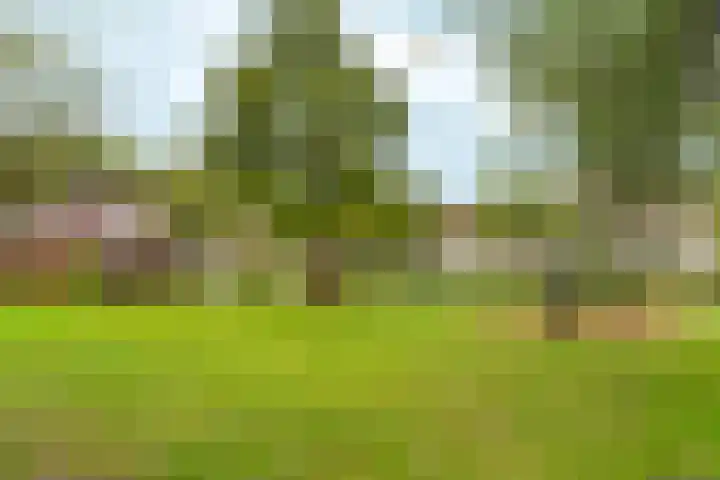 Saliestraat 1 Almere thumbnail 6