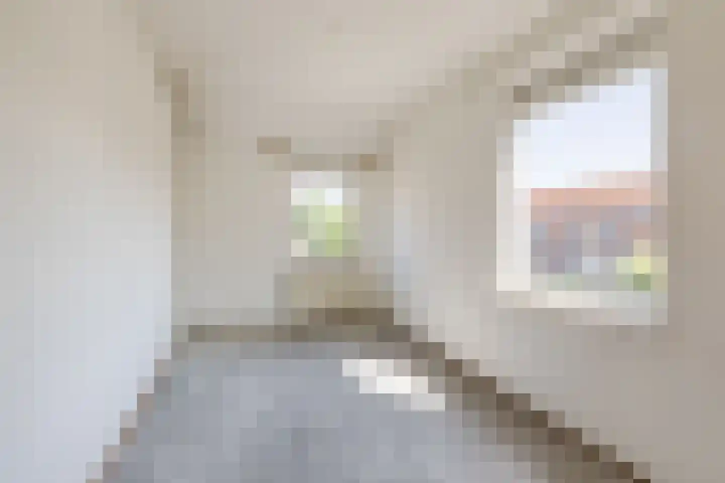 Salkhof 13 Hoogeveen thumbnail 19