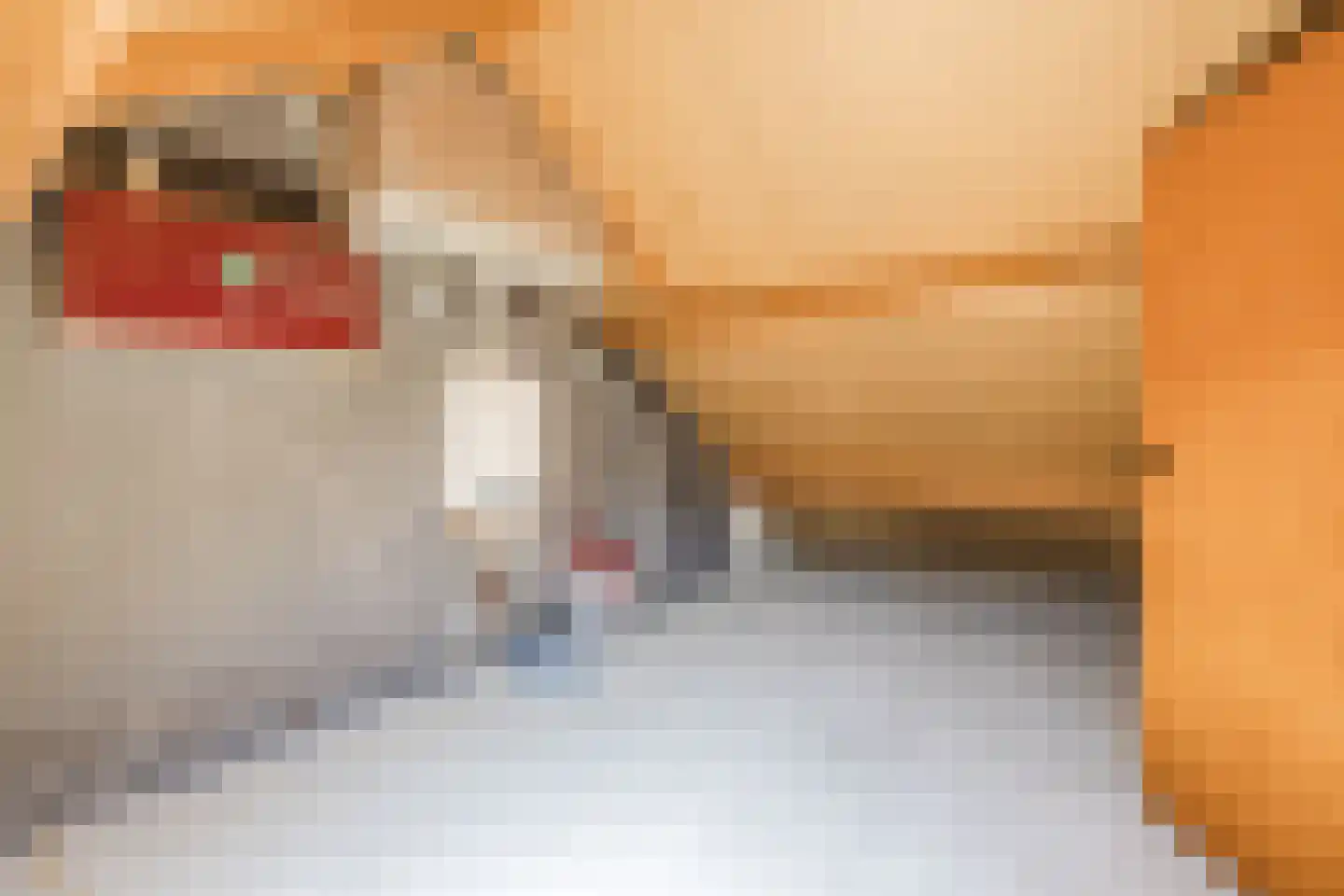 Salkhof 13 Hoogeveen thumbnail 27