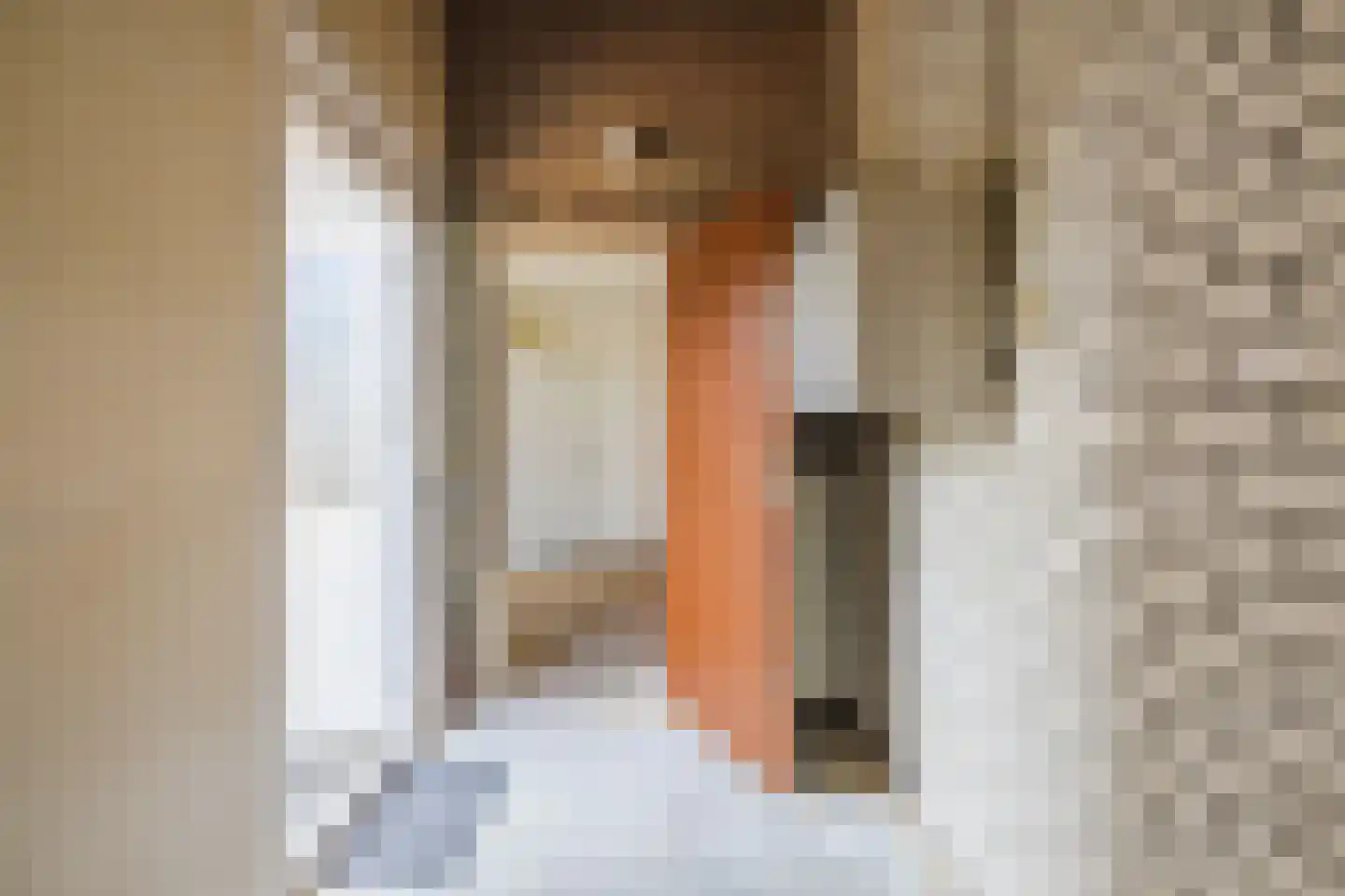 Salkhof 13 Hoogeveen thumbnail 30