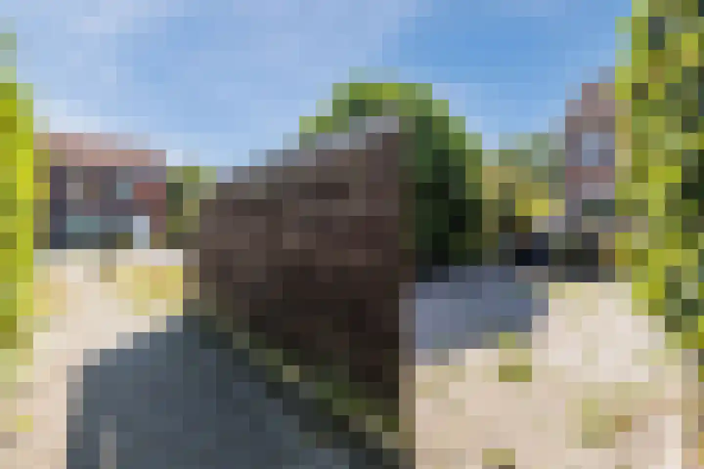 Salkhof 13 Hoogeveen thumbnail 36