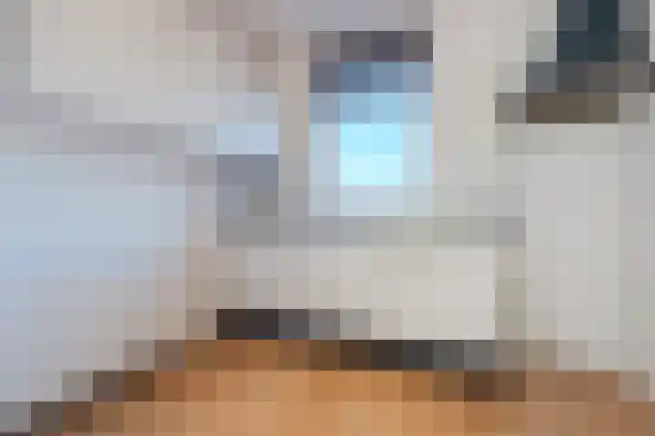 Salkhof 39 Hoogeveen thumbnail 10