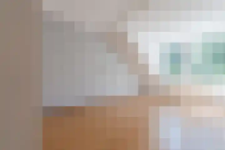 Salkhof 39 Hoogeveen thumbnail 19