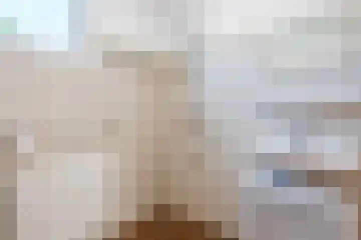 Salkhof 39 Hoogeveen thumbnail 25