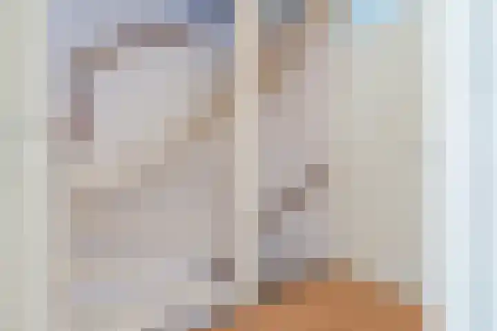 Salkhof 39 Hoogeveen thumbnail 26