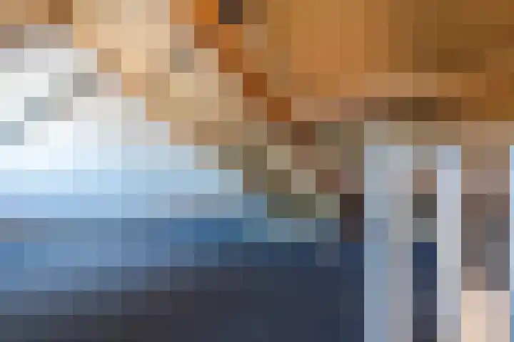 Salkhof 39 Hoogeveen thumbnail 27